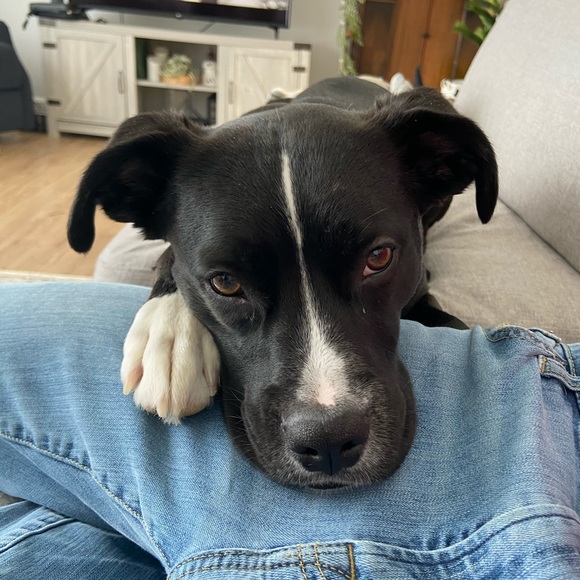 Meet your Posher, Martina - Picture 1 of 1